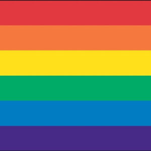 Rainbow Flag - 6' x 10' - Nylon