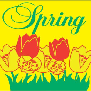 Spring Flag - 3' x 5' - Nylon