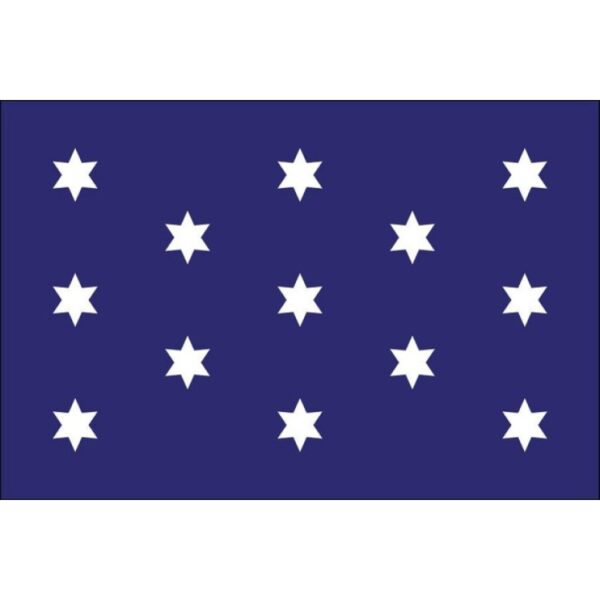 Washington's Commander in Chief Flag - 3' x 5' - Nylon